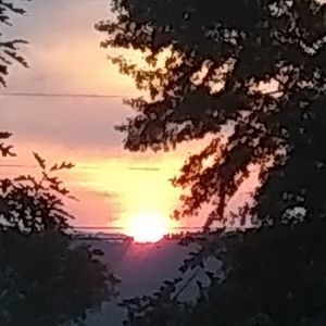 Meet your Posher, Frank